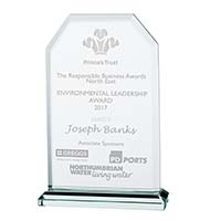 Executive Jade Glass Award 145mm