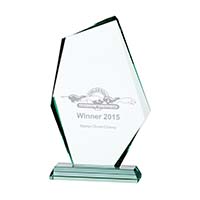 Discovery Jade Glass Award 240mm