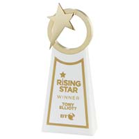 Star Awards image