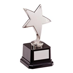 Challenger Silver Star Award 155mm