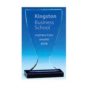 Orion Glass Award  22cm