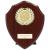 Cherry Wreath Reward Shield 125mm - view 1